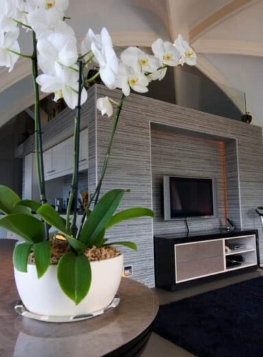 Wildenberg interieurarchtiectuur Stan ontwerpt penthouse met middenkern in kerk in Utrecht en plant