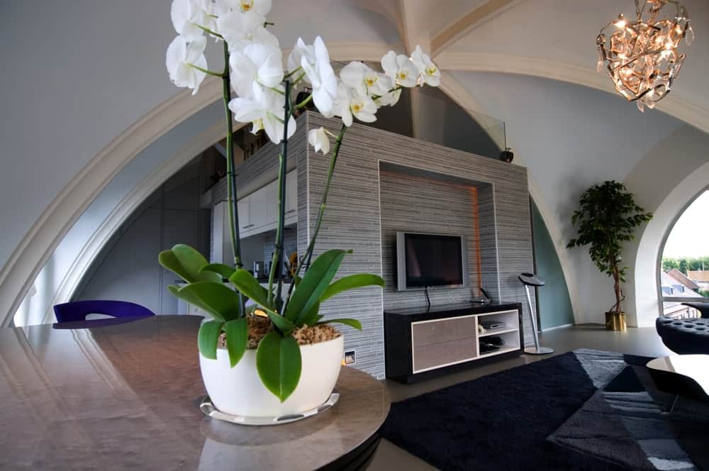 Wildenberg interieurarchtiectuur Stan ontwerpt penthouse met middenkern in kerk in Utrecht en plant