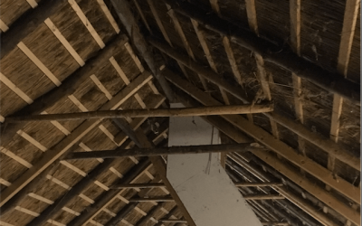 binnenhuisarchitect Wildenberg ontwerp moderne boerderij met rieten kap kapconstructie binnenhuisarchitect Wildenberg ontwerp moderne boerderij met rieten kap kapconstructie