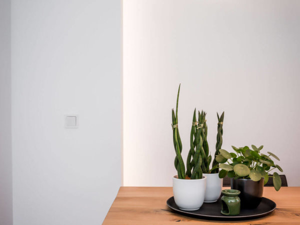 interieurarchitect Stan Wildenberg ontwerp interieur keuken hoek eettafel hanglampen planten decoratie interieurarchitect Stan Wildenberg ontwerp interieur keuken hoek eettafel hanglampen planten decoratie
