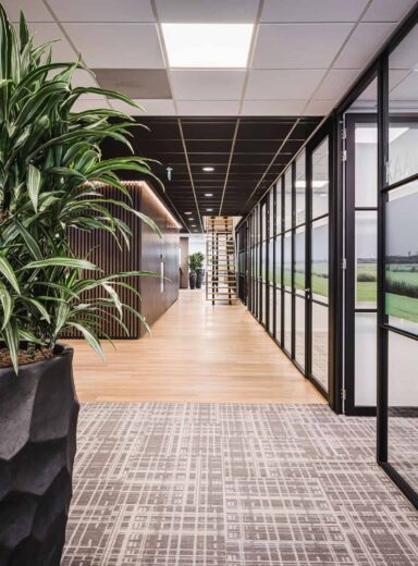 binnenhuisarchitect Wildenberg ontwerp COKZ verkeersruimte gaanderij trap Meinema Planeffect Forbo