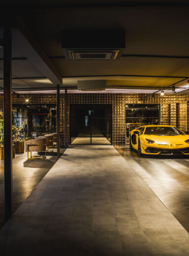 interieurarchitect interiorarchitect Wildenberg officedesign hospitalityinteriors officeinspiration kantoorontwerp officeinterior Peter Baas business lounge gouden plantpot Lamborghini